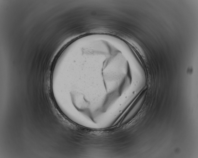 X0000097001000200803071113