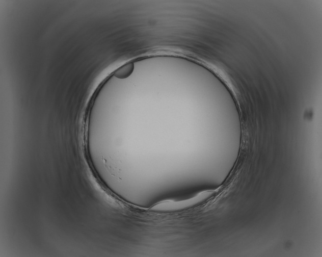 X0000097001003200803071113