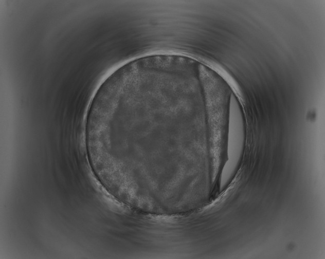 X0000097001004200803071113