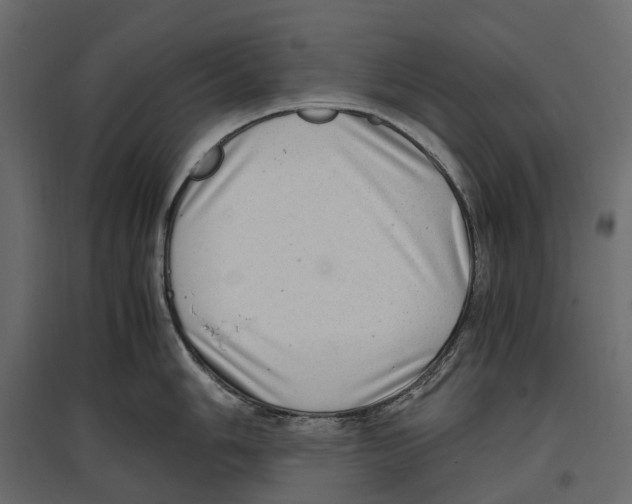 X0000097001006200803071112