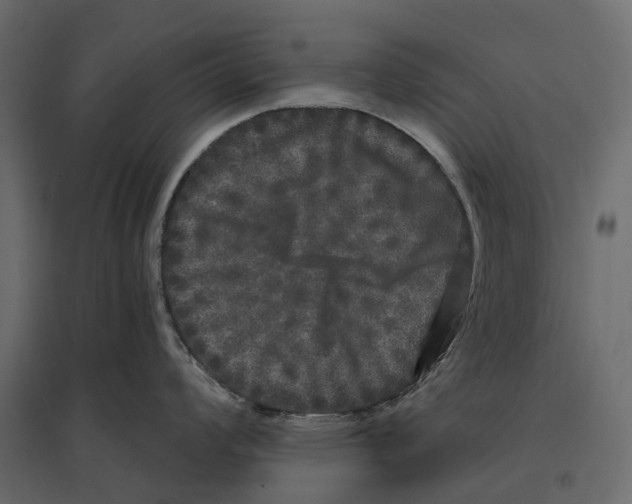 X0000097001008200803071112