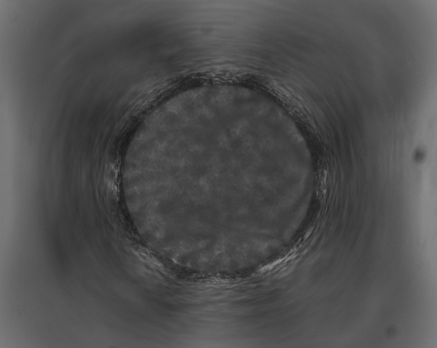 X0000097001010200803071112