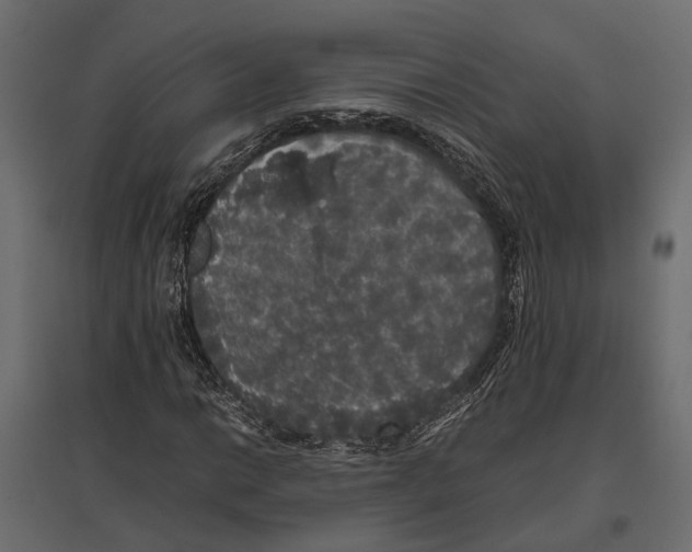 X0000097001014200803071112