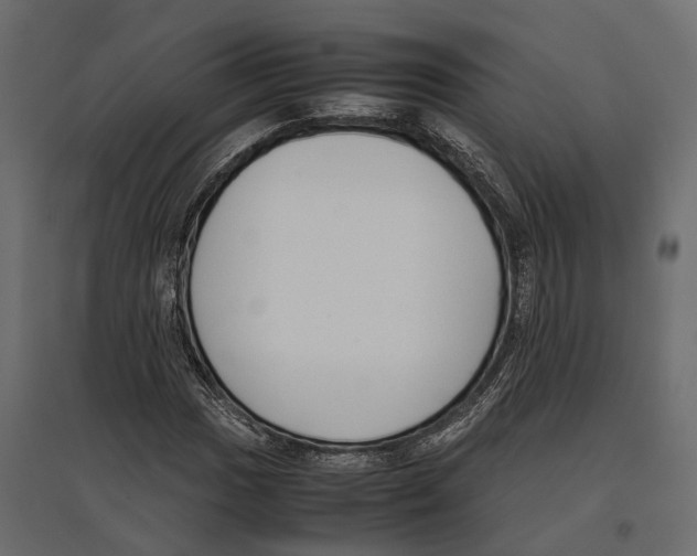 X0000097001017200803071112