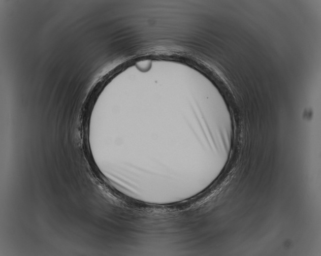 X0000097001018200803071112