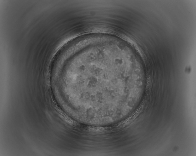 X0000097001019200803071112