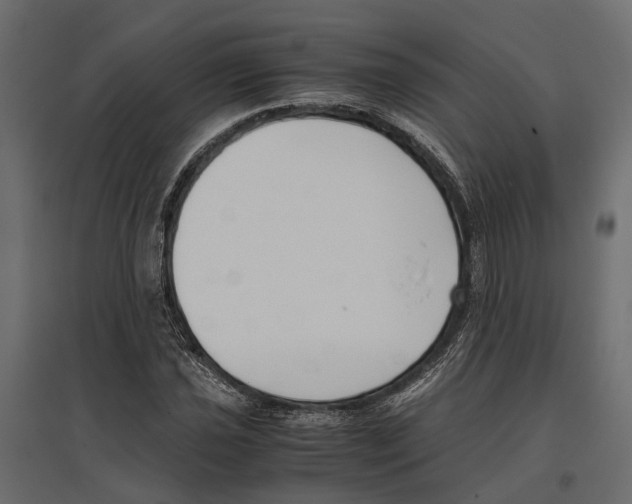 X0000097001021200803071112