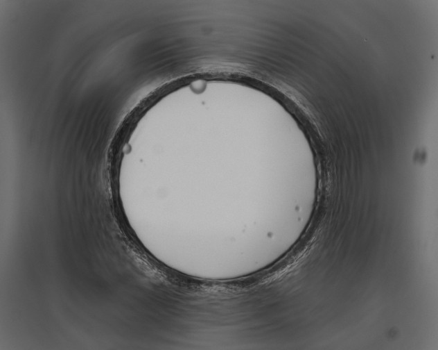 X0000097001022200803071112