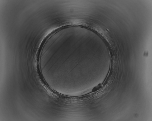 X0000097001024200803071112