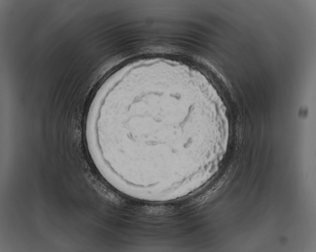 X0000097001025200803071112