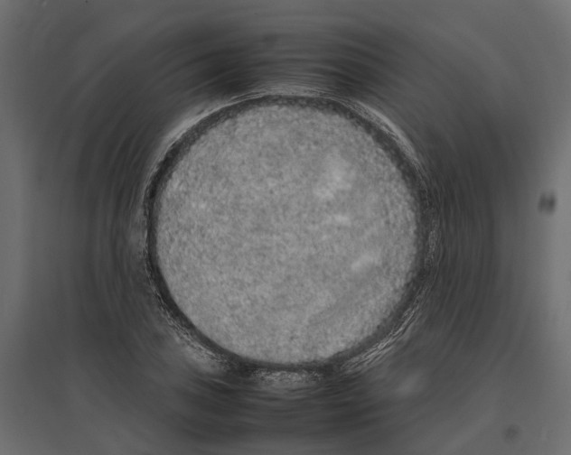 X0000097001027200803071112