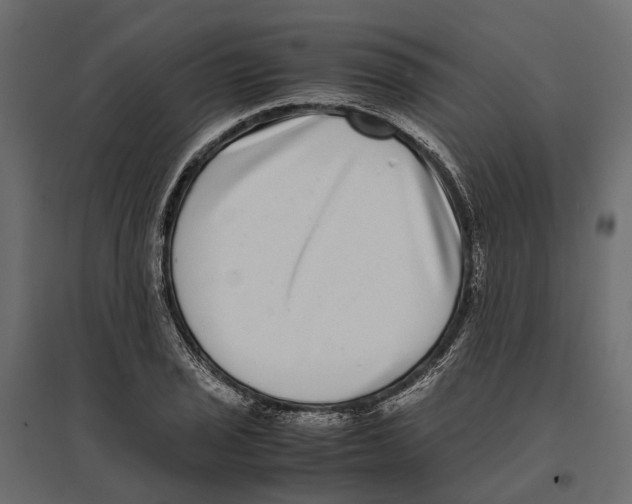 X0000097001029200803071112