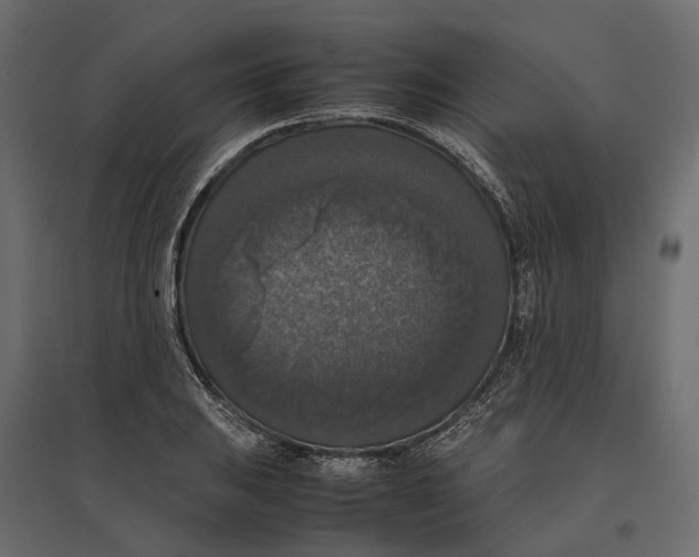 X0000097001031200803071112