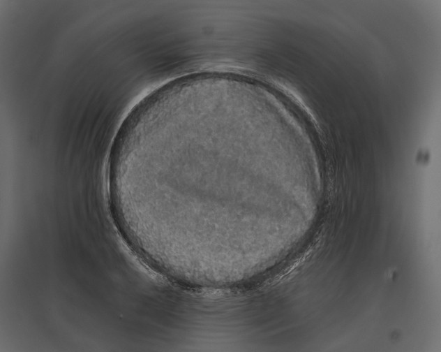 X0000097001032200803071112