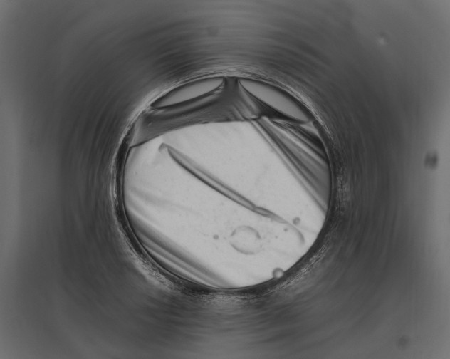 X0000097001034200803071112