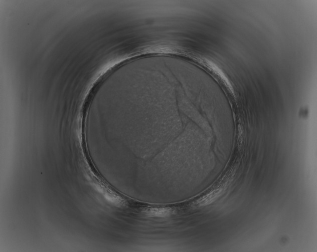 X0000097001035200803071112