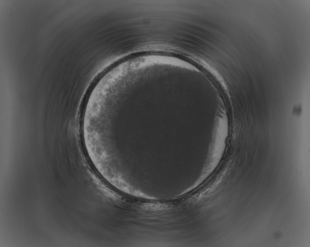 X0000097001037200803071112