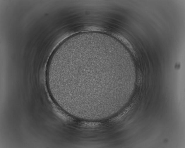 X0000097001039200803071112