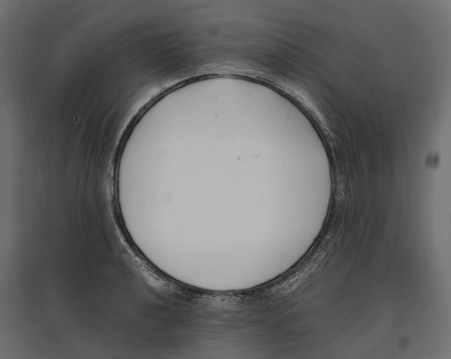 X0000097001040200803071112