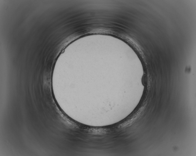 X0000097001041200803071112