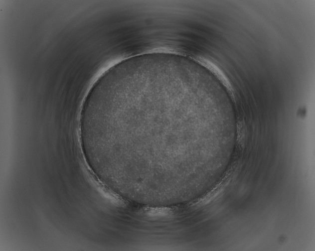 X0000097001043200803071112