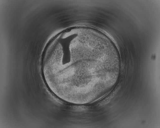 X0000097001045200803071112