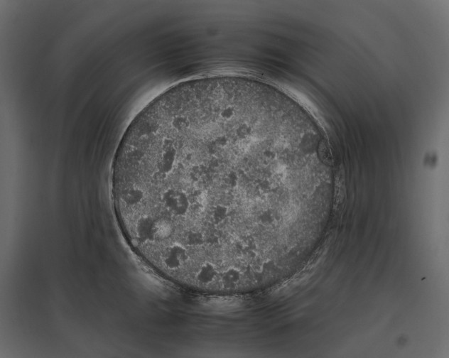 X0000097001047200803071112