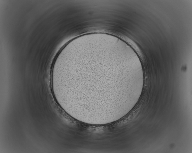 X0000097001051200803071112