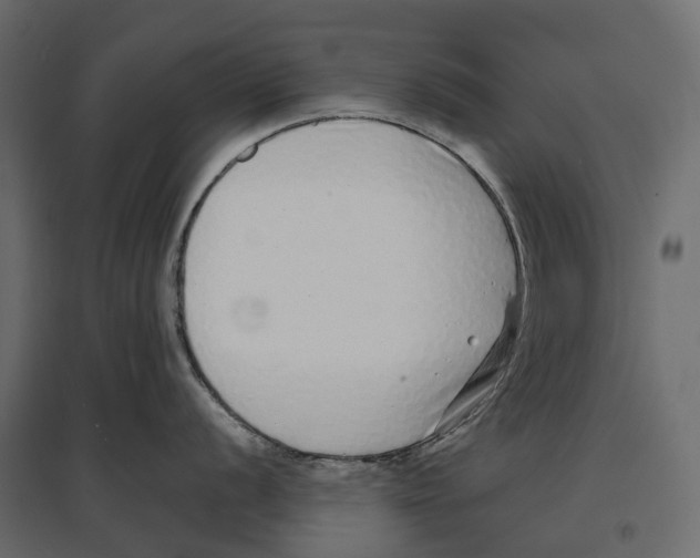 X0000097001056200803071112