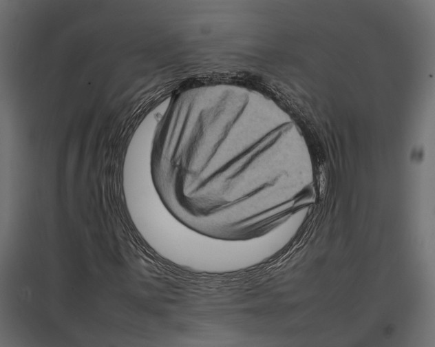 X0000097001059200803071112