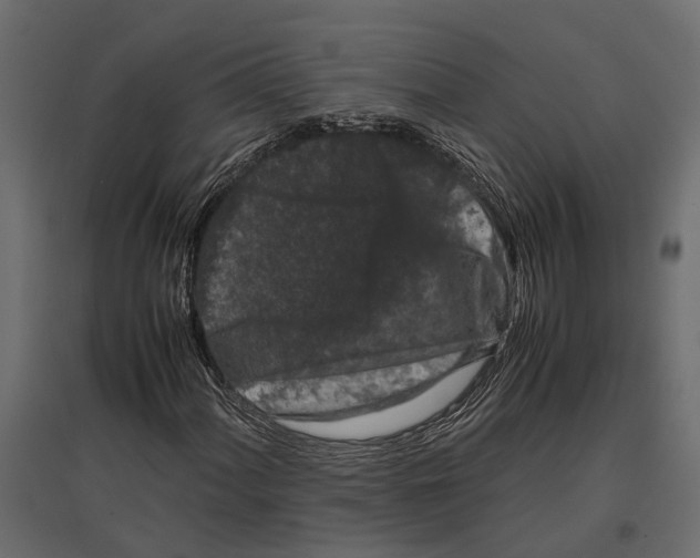 X0000097001060200803071112