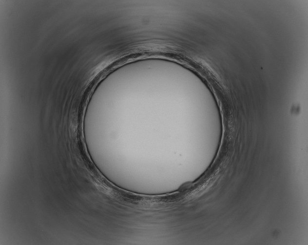 X0000097001065200803071112