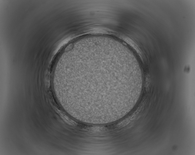 X0000097001067200803071112