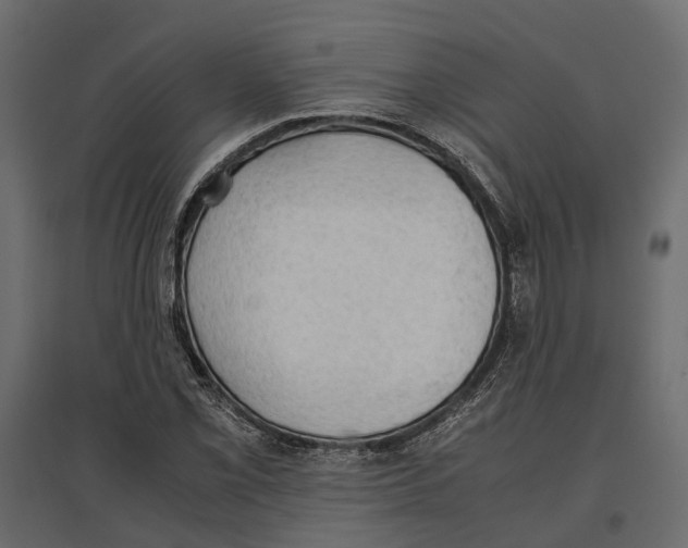 X0000097001069200803071112