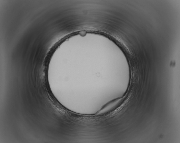 X0000097001070200803071112