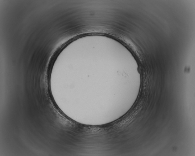 X0000097001072200803071111