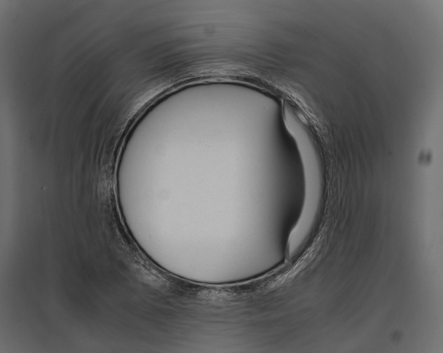 X0000097001073200803071111