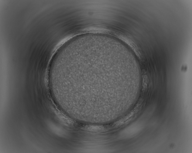 X0000097001074200803071111