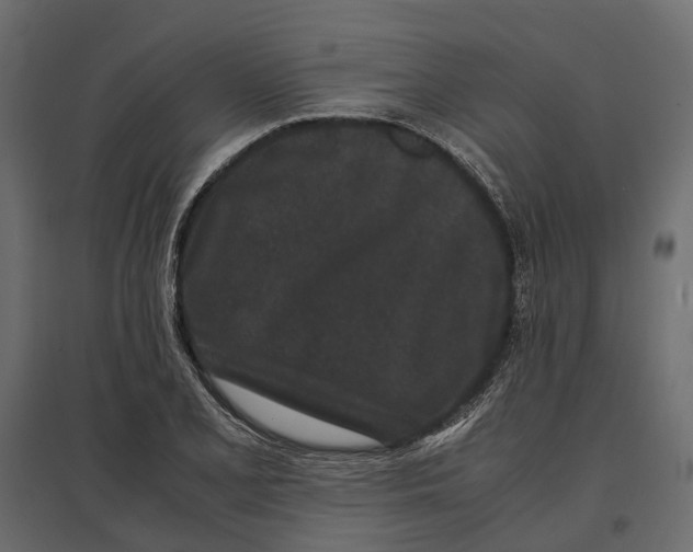 X0000097001077200803071111