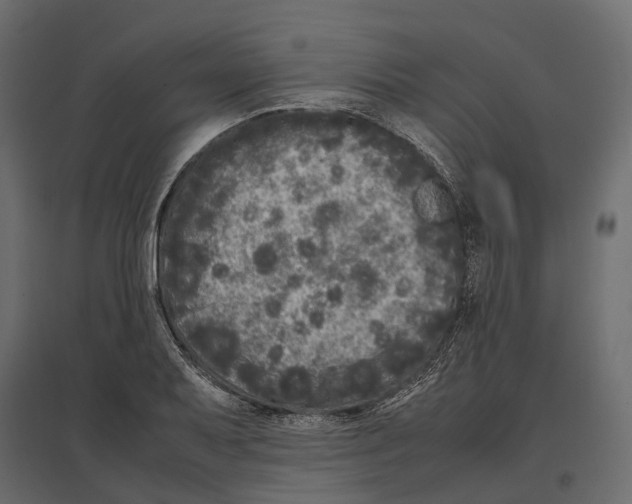 X0000097001079200803071111