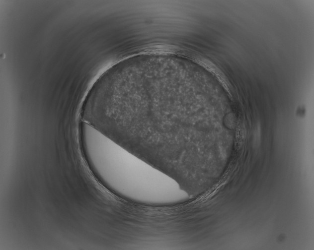 X0000097001083200803071111