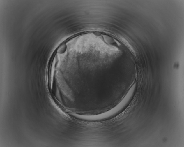 X0000097001084200803071111