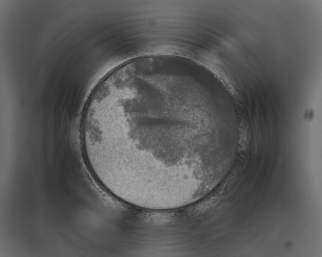 X0000097001086200803071111