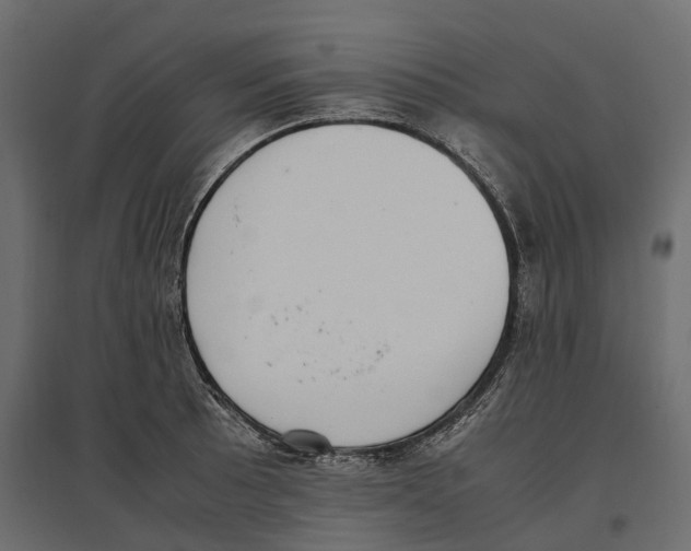 X0000097001089200803071111