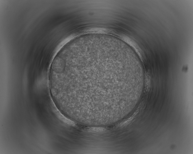 X0000097001090200803071111