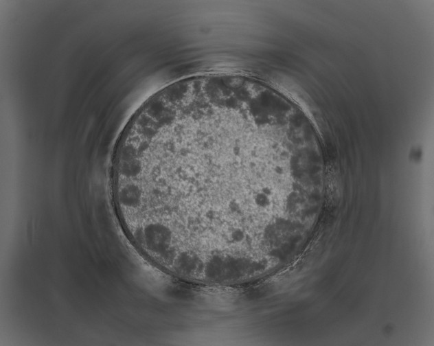 X0000097001091200803071111