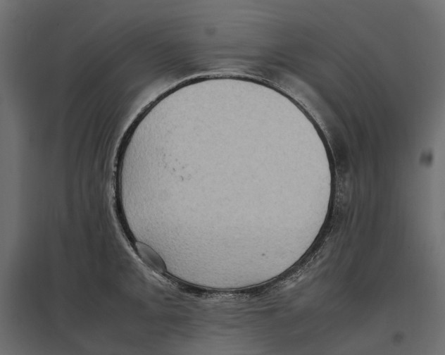 X0000097001093200803071111