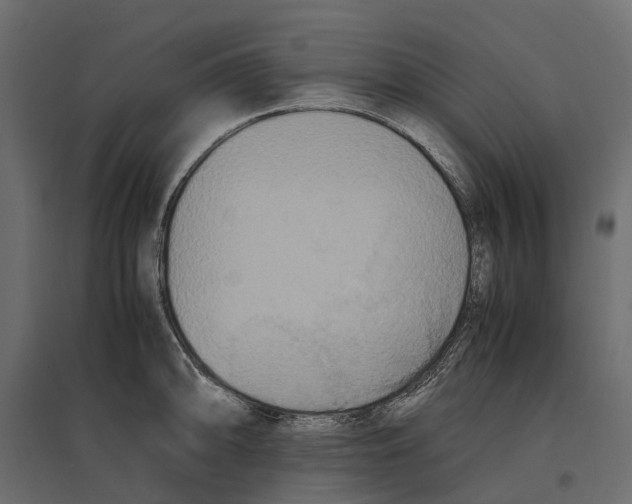 X0000097001094200803071111