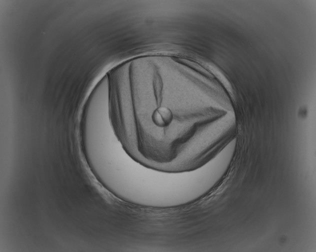 X0000097001099200803071111