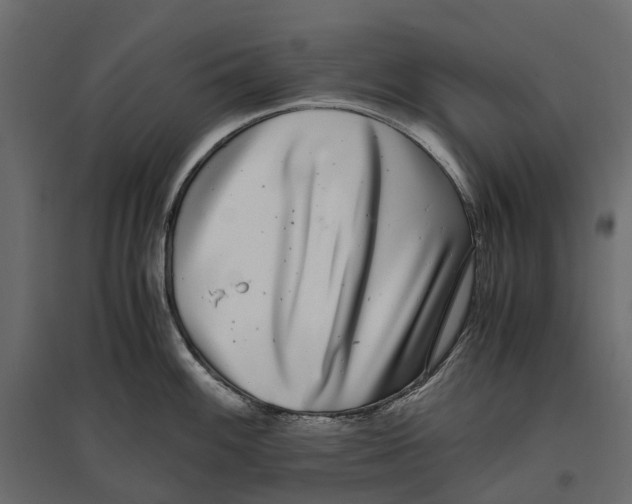 X0000097001100200803071111